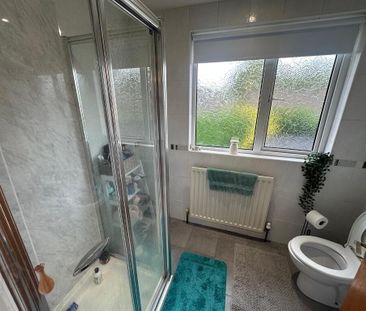 21 Beech Green, Doagh, Ballyclare, BT39 0QB - Photo 3