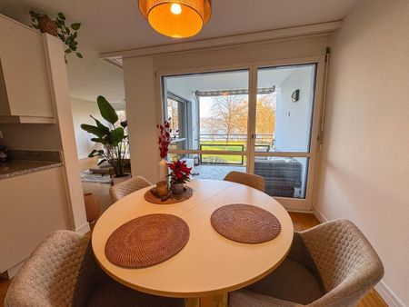 2-ROOM APARTMENT IN KILCHBERG (ZH), FURNISHED, TEMPORARY - Photo 2