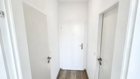 Erstbezug nach Sanierung, moderne Einzimmerwohnung in zentraler Lage mit neuer Einbauküche - PROVISIONSFREI - Foto 2