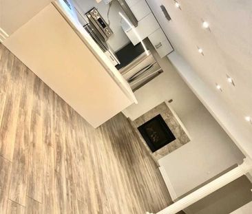 For Lease - 117 Yorkland Street Unit# Bsmt, Richmond Hill, Ontario - Photo 3