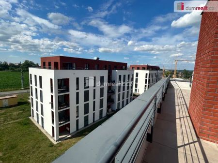 pronájem 3+1/terasa 90 m - Photo 3