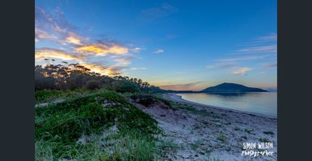 Privacy, tranquility & fully furnished - Photo 4