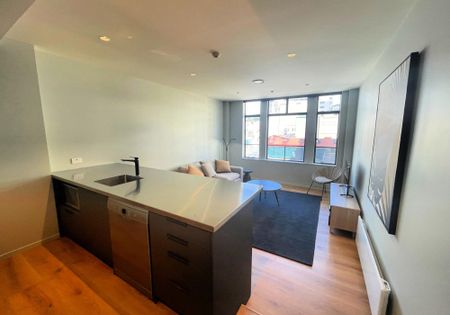 1 Bedroom Apartment in Central Wellington - Photo 3