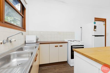 1/298 Newcastle Street, East Maitland NSW 2323 - Apartment For Rent | Domain - Photo 4