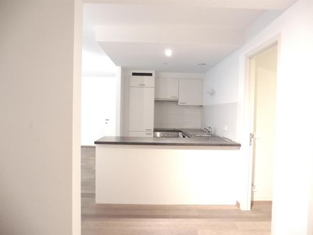 Cygnes 0.1 - Ground Floor, 1 Chambre(s), 83 M2 - 1250€ - Photo 3