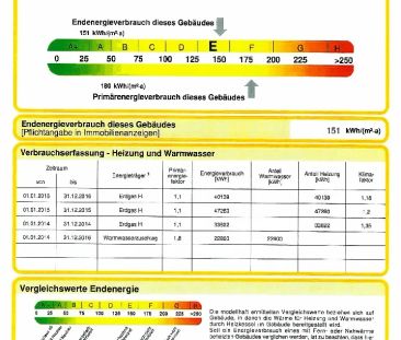 Singles aufgepasst! Renovierte 2-Zimmer-Wohnung mit Einbauküche und... - Foto 6