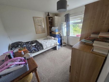 87 Ardmeen Green, Downpatrick, BT30 6JL - Photo 5