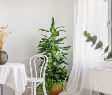 Småbjörksvägen, Spånga - Photo 2