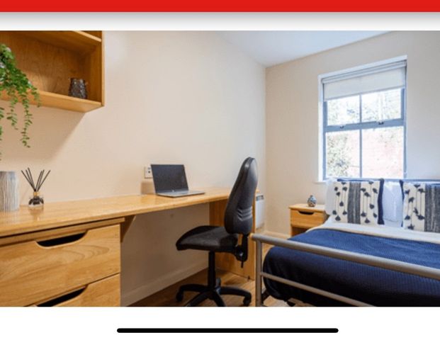 Room in a Shared Flat, Hotwells House, BS8 - Photo 1