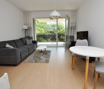 Super mieszkanie na Jarze z widokiem na las! - Photo 2