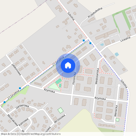 ul. Turyńska, Tarnowo Podgórne, Tarnowo Podgórne, poznański, wielkopolskie