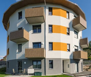 Junges Wohnen in Hoheneich - Foto 4