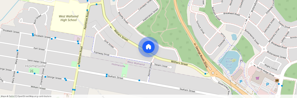 121 withers Street, NSW 2286, West Wallsend