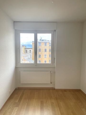 Plaine de Plainpalais - Université - Photo 5