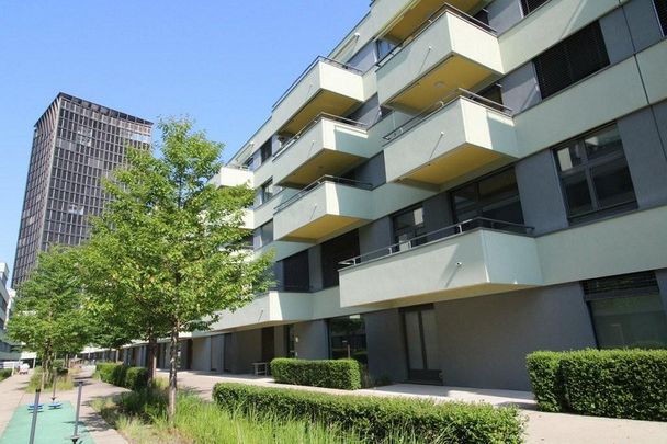 Moderne Wohnung mit Balkon und eigenem Waschturm - Foto 1