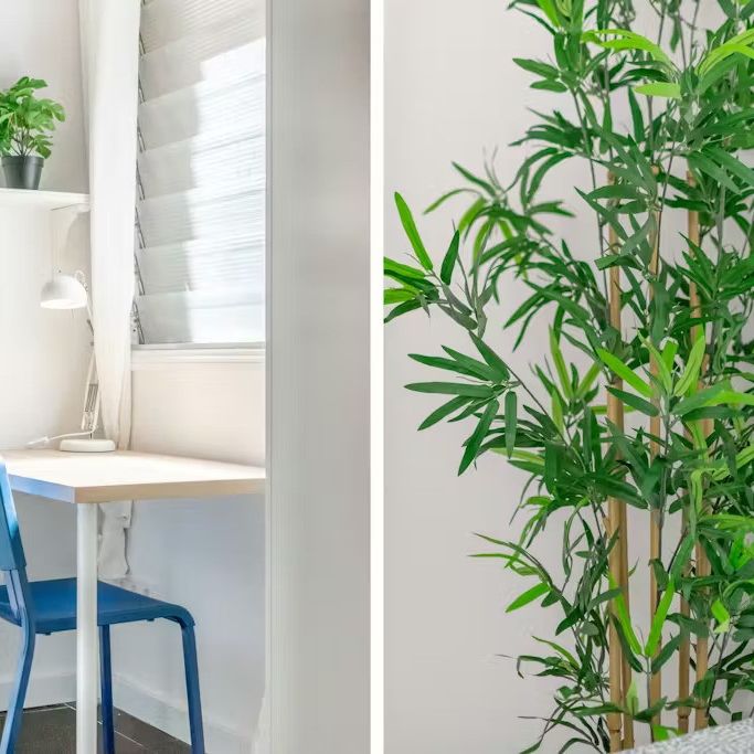 Carrer del Rosselló, Barcelona, Catalonia 08008 - Photo 1