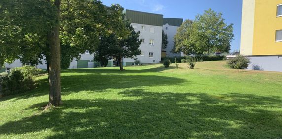 3-Zimmer-Wohnung in ruhiger Lage! - Photo 2