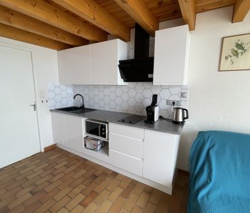 HYERES- APPARTEMENT T2 EN SOUPLEX - AU CALME - TERRASSE- ST - Photo 4