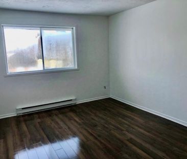 Logement 4 1/2 à louer à St-Rémi - Photo 2