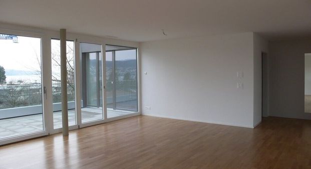 Living close to nature at the gates of Zurich - Foto 1