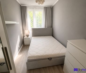 Wrocław, Stare Miasto, Centrum - Zdjęcie 6