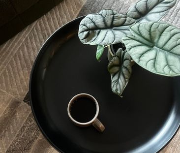 Darlinghurst - Photo 1