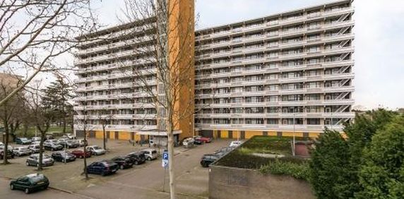 De Koppele 5632 Eindhoven - Foto 2