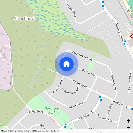 41A Milne Street, NSW 2307, Shortland