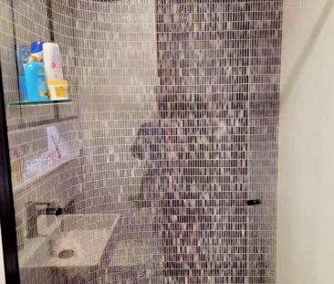 1Bedrooms, 1Bathrooms - Photo 4