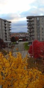 Condo 4 ½ rue Beaufort Anjou LIBRE - Photo 4