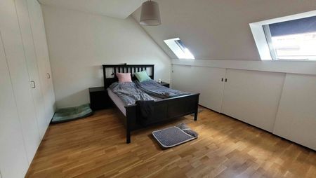 3.5 Zimmer, 95 m², 2. Stock - Foto 3