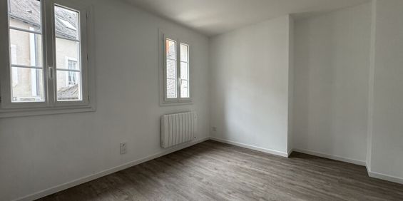 Location Appartement 1 pièce 16m² ORLEANS 45000 - Photo 3