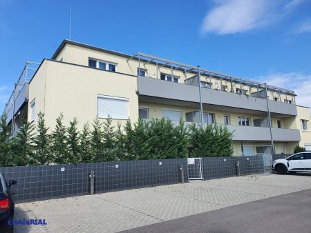 Mit Starthilfe - ERSTBEZUG-GENOSSENSCHAFTSWOHNUNG in Strasshof - Top 11 - Foto 3