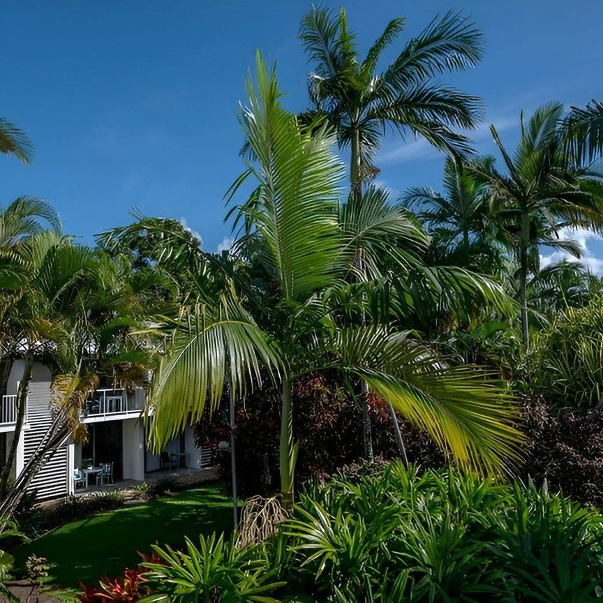 3111 Oaks Apartment/87 Port Douglas Road, Port Douglas, Qld 4877 - Photo 1