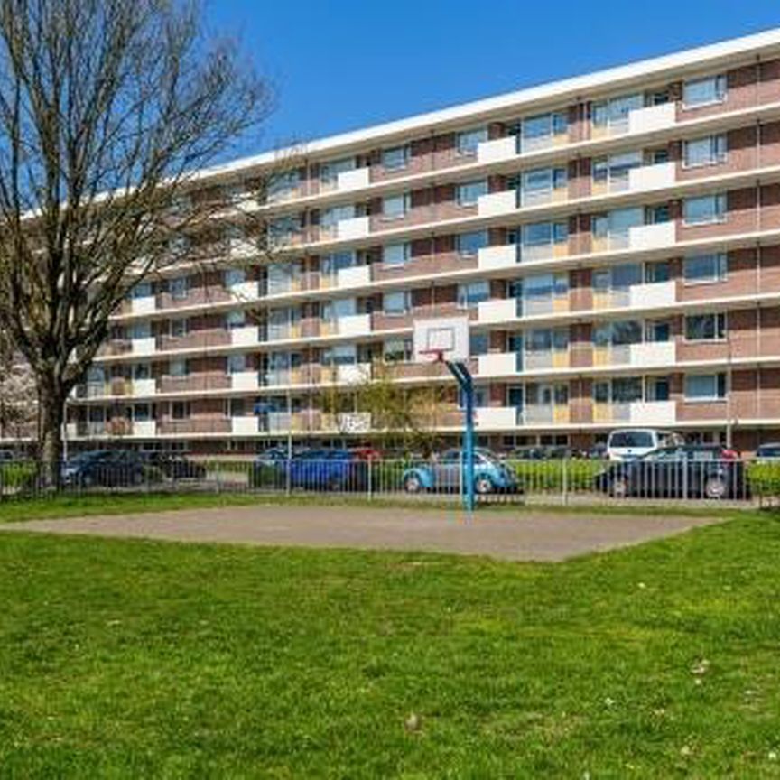 Professor Cobbenhagenlaan 5037 Tilburg - Foto 1