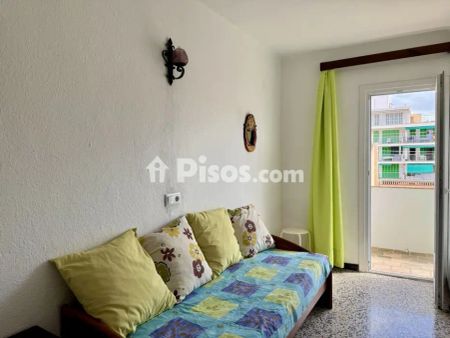 Piso en alquiler en Carrer de l'Estrella de Mar, 1 - Photo 3