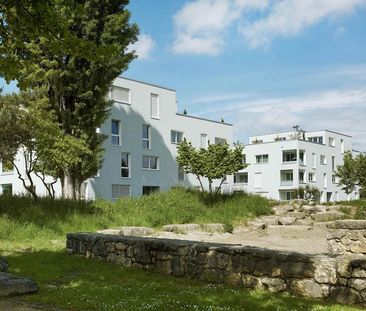 Modern, gemütlich, Allschwil! - Foto 4