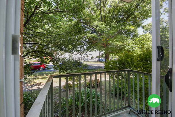 2/56 Morisset Street, Queanbeyan NSW 2620 - Apartment For Rent | Domain - Photo 1