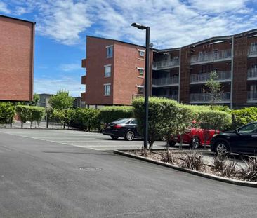 Modern & Stylish Living in the Heart of Hobsonville Point - Photo 4