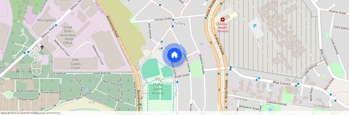 17 Hastings Avenue, Chifley