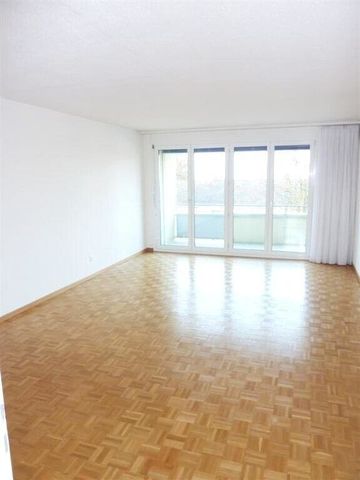 Freundliche Singlewohnung in Zumikon - befristet bis 31.03.2027 - Foto 4