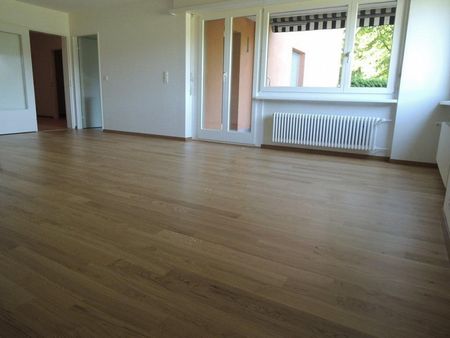 Sonnige Gartenwohnung im schönen Richterswil - Photo 2