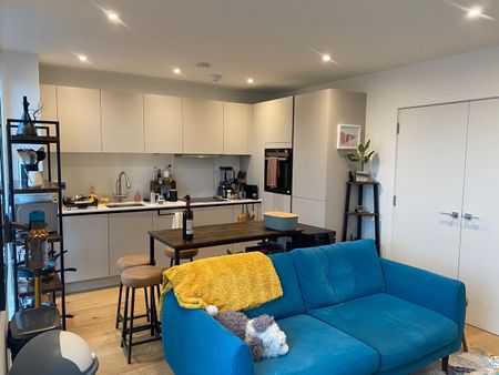 1 Bed Flat, Wild Flower Gardens, E3 - Photo 4