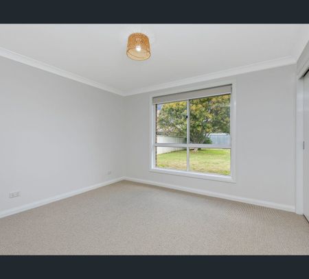 24 Morilla Street, Hillvue, NSW 2340 - Photo 5