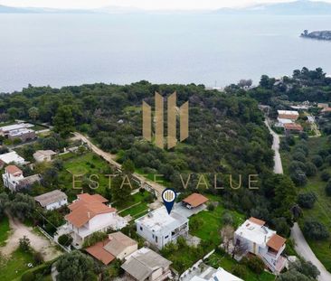 Διαμέρισμα για ενοικίαση Κυψέλη - Ποσειδωνία (Κάλαμος) - Φωτογραφία 3