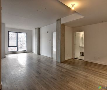 464 rue Saint-Henri - Unité 4 ½ - Saint-M2, Ville-Marie (Centre-Vil... - Photo 4