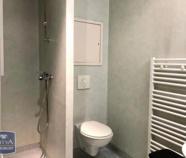Appartement à louer 1 pièce 24.2m² - Photo 3