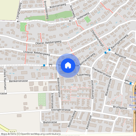 4153, Reinach BL, Tulpenweg, 16