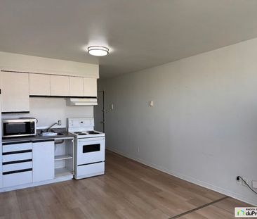 2655, 2655 Rue Hogan, Ville-Marie (Centre-Ville et Vieux-Montréal) ... - Photo 4