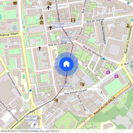 Rue Ancienne 34, 1227 CAROUGE